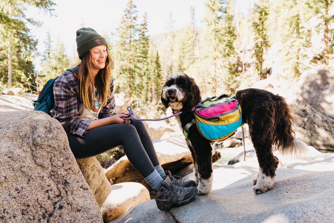 Benefits of Using a Dog Backpack