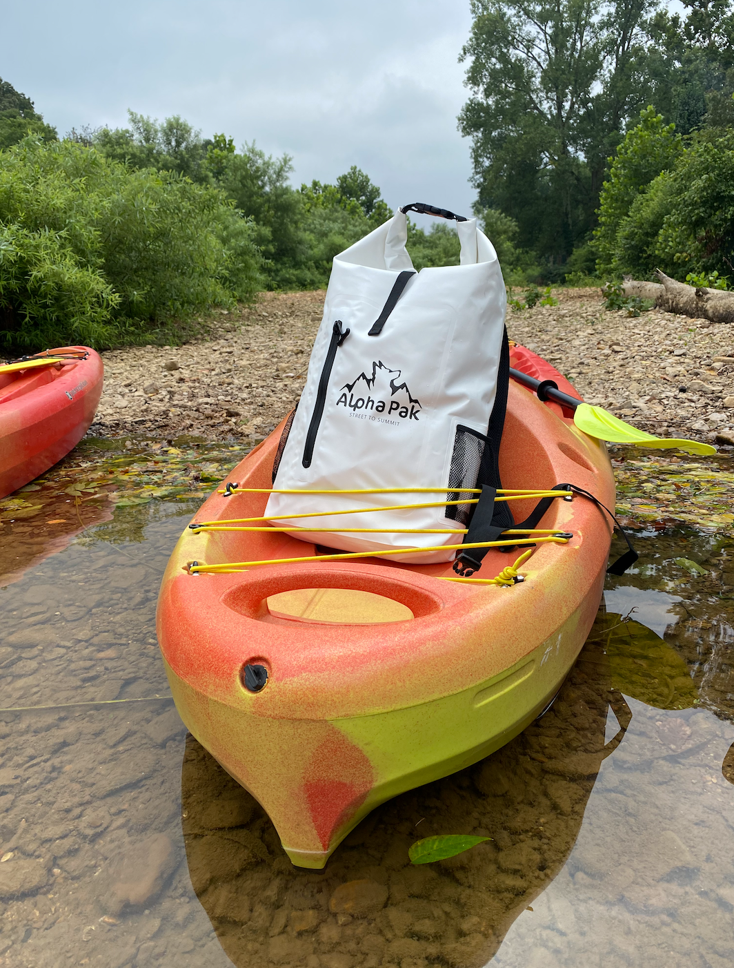 Tips for Water Hikes With Your Dog