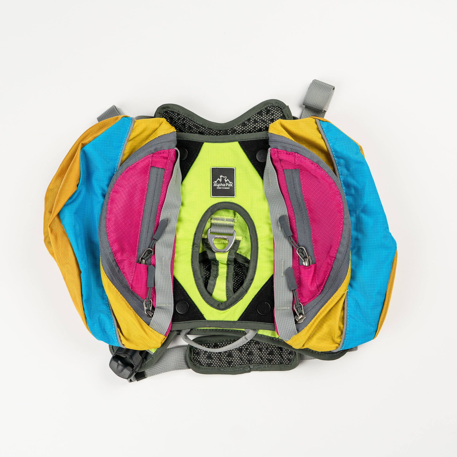 Blue Yellow Pink and Gray Wanderer EZ Latch Dog Pack with Harness