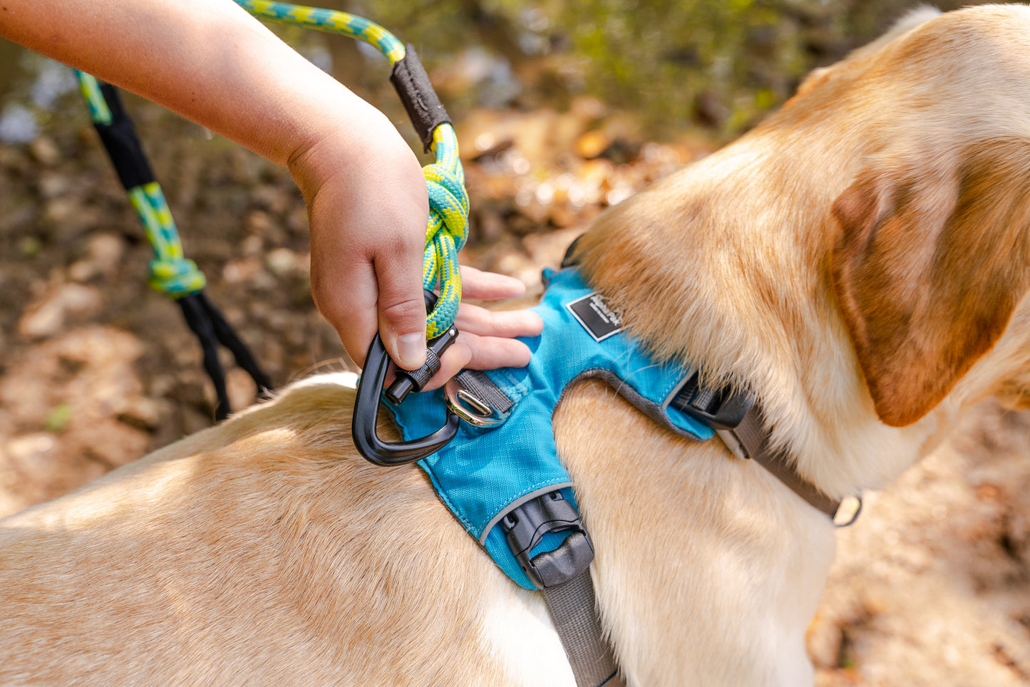 Alpine 10MM Kernmantle Rope Leash - Wholesale