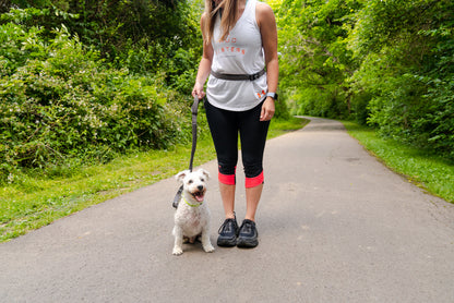 Cascades 石墨可伸缩跑步狗皮带 - 批发