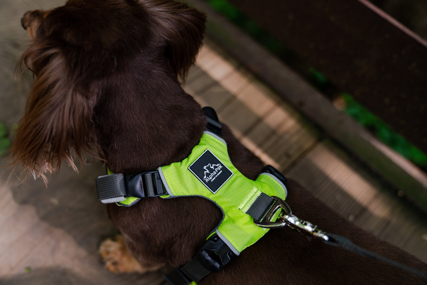 Millvue Kiwi Green EZ Fit™ 狗背带 - 批发
